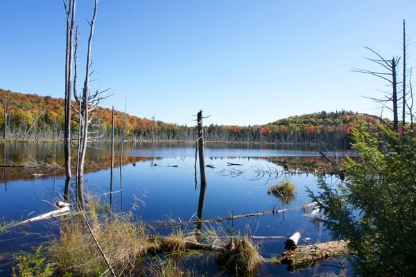 Parc régional Val-David – Val-Morin – Secteur Far Hills